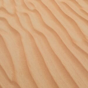 Desert Wilderness - A serene view of golden sand dunes with smooth t #1527934