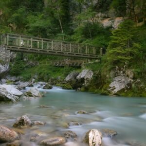 Forest Nature - A picturesque bridge over a calm river in Tolmin #19758091