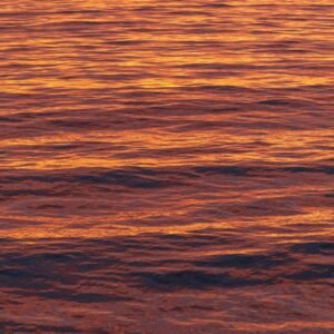 Beach Scenery - Stunning golden sunset reflecting on ocean waves #28244912
