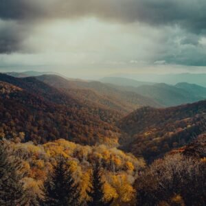 Forest Nature - Explore the serene beauty of mountain ranges cov #29146345