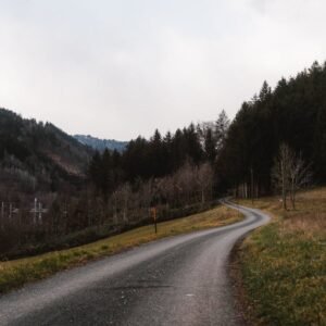 Forest Nature - A peaceful winding road through a forested mount #29828240