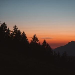 Mountain Landscapes - Silhouette of pine trees and mountain under a co #33921379