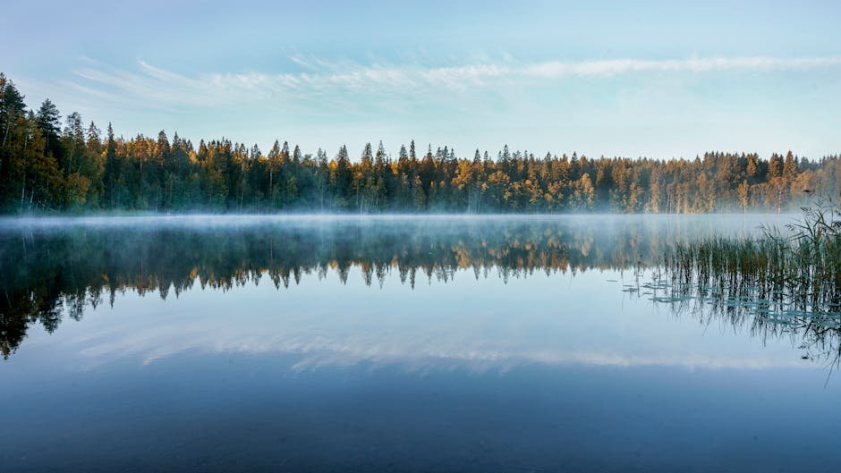 Lake Reflections - A tranquil Finnish lake reflects the forest and #3693623