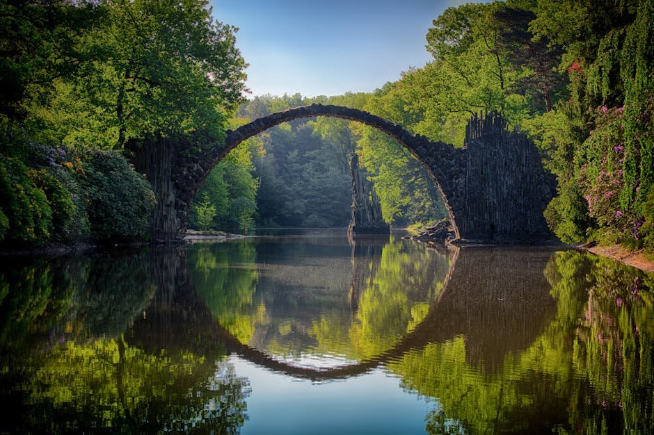 Forest Nature - Capture of the iconic Rakotzbrücke reflecting in #814499