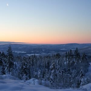 Forest Nature - Snow-covered forest in Krøderen, Norway with cre #8875448