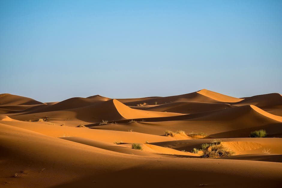 Desert Wilderness - Scenic view of Sahara Desert sand dunes in Moroc #998653