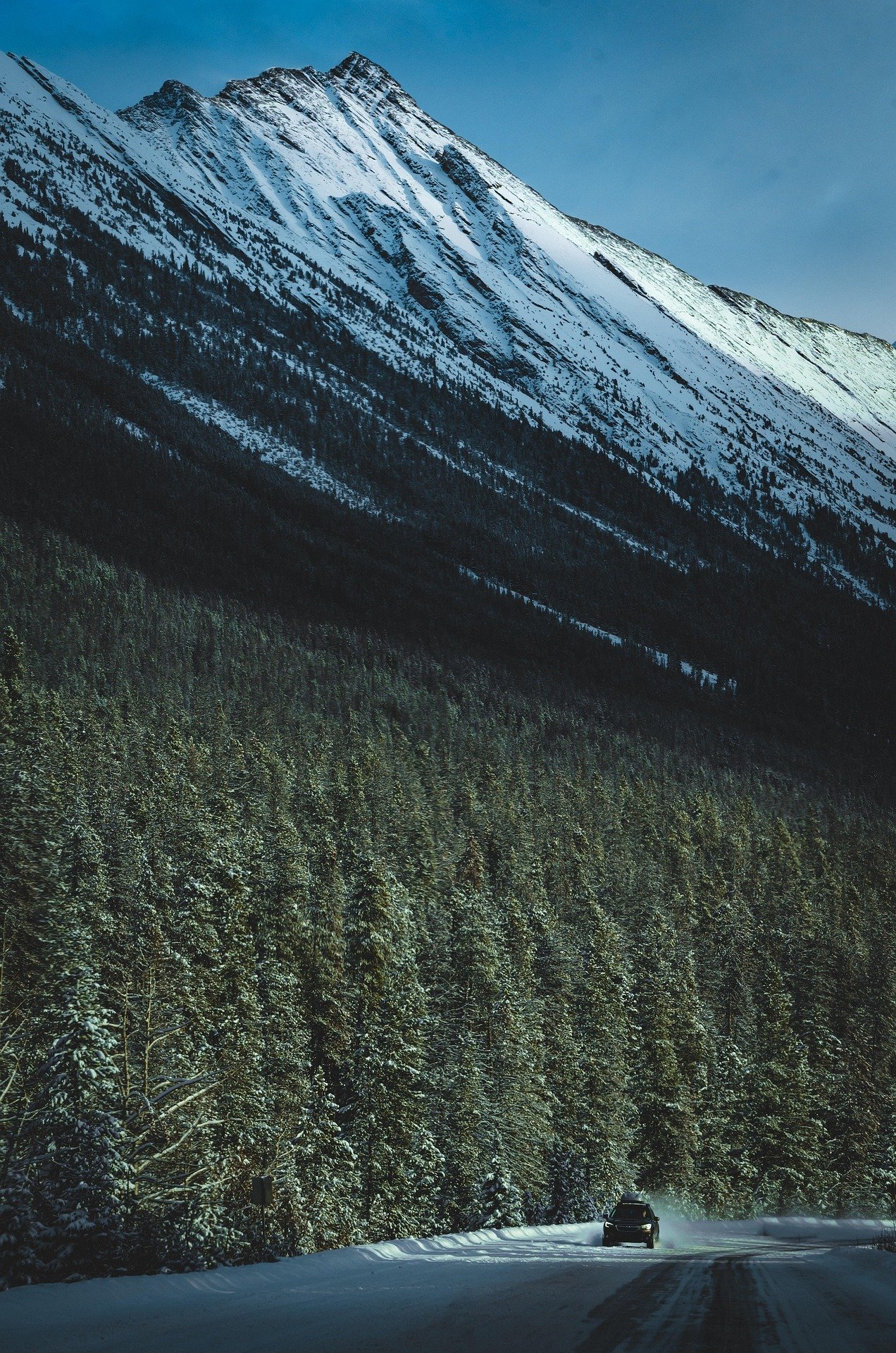 stills_by_suki-winter-8460950_1920